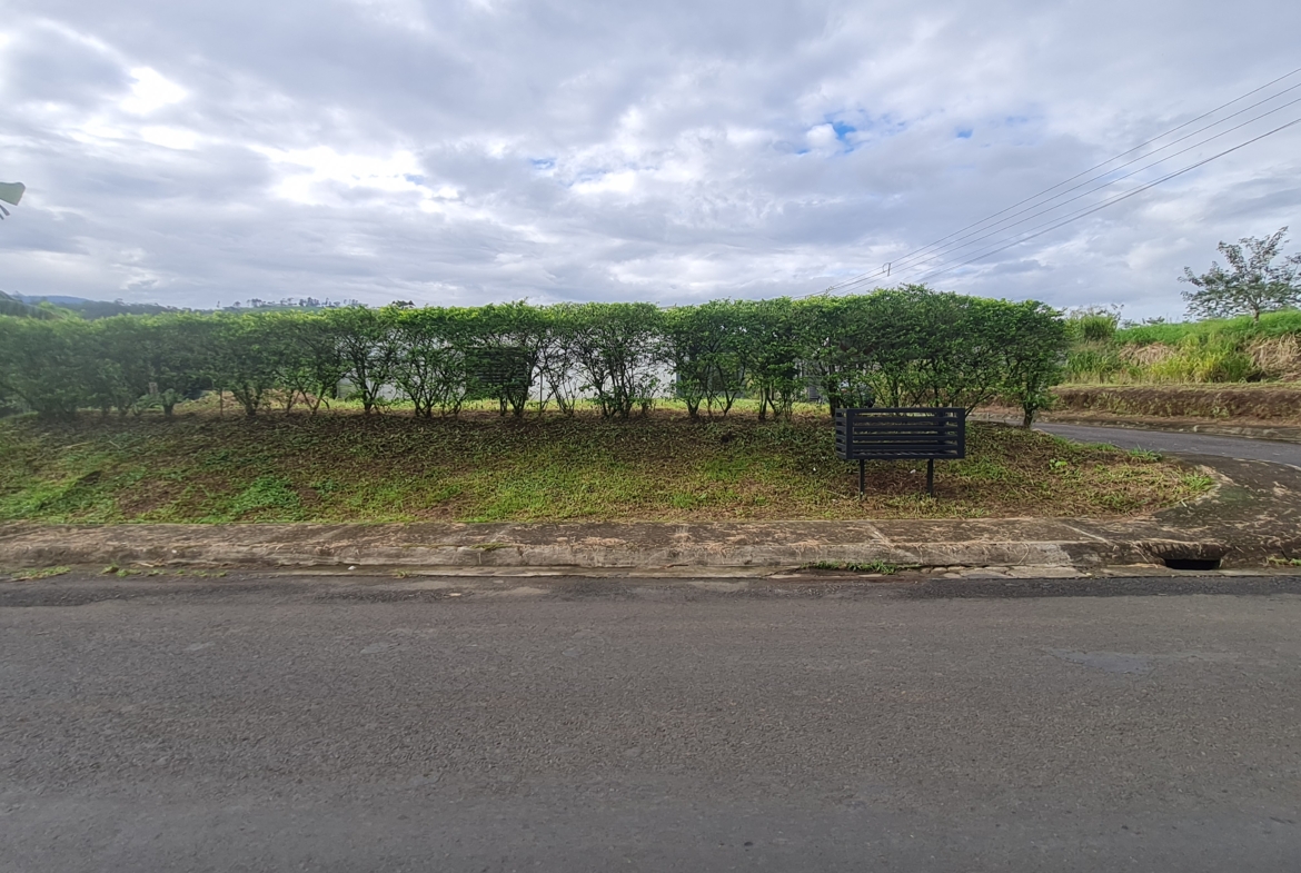 casas en venta, san carlos, lotes, buona vita