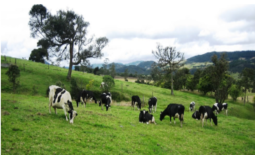 Nuevos Retos para Invertir en San Carlos Costa Rica