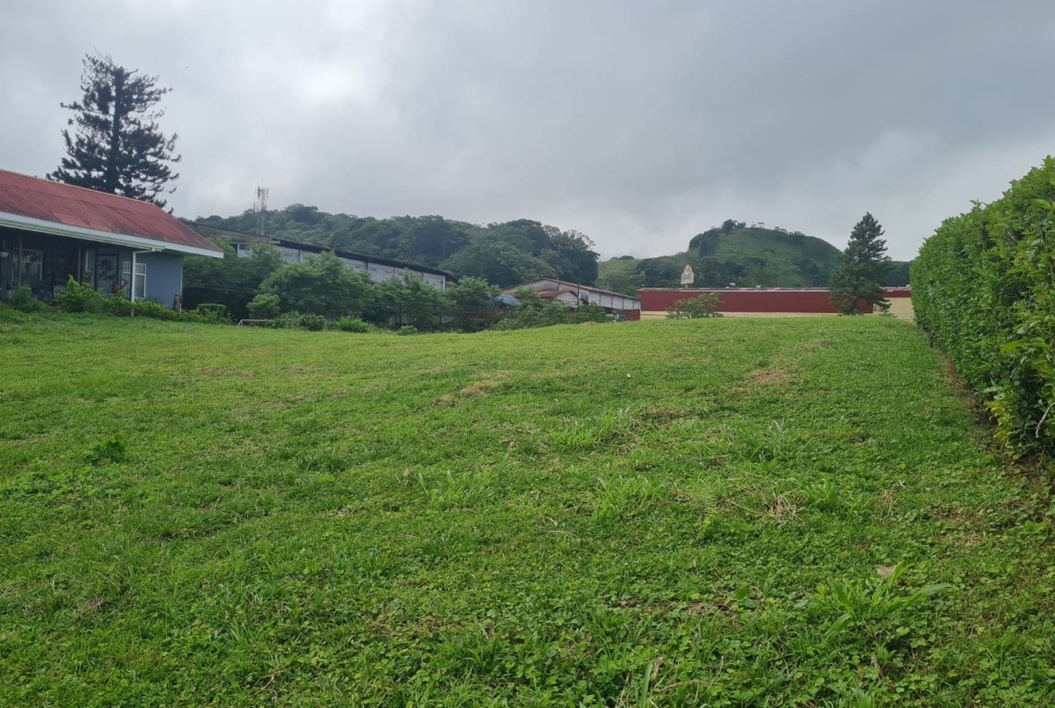 vista increíble, lote, Ciudad Quesada, San Carlos