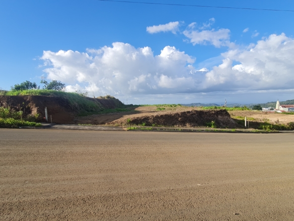 propiedades comerciales, ciudad quesada