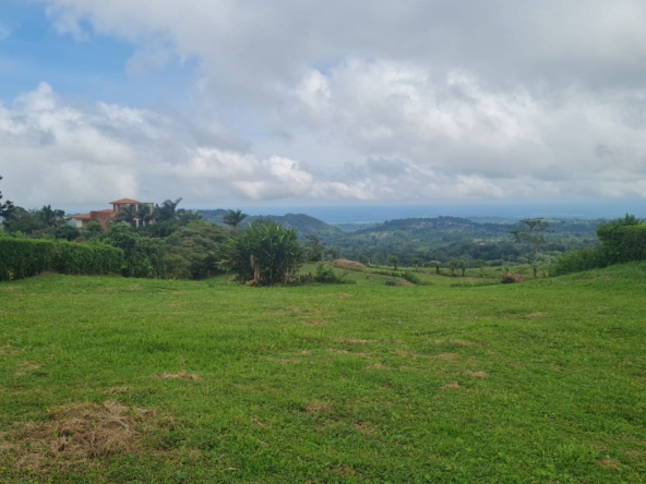lote, venta, ciudad quesada, san carlos