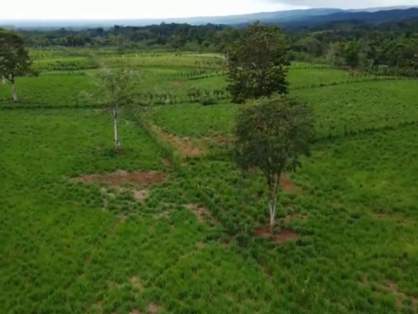 finca en venta, Guatuso, ganadería, agricultura, turismo